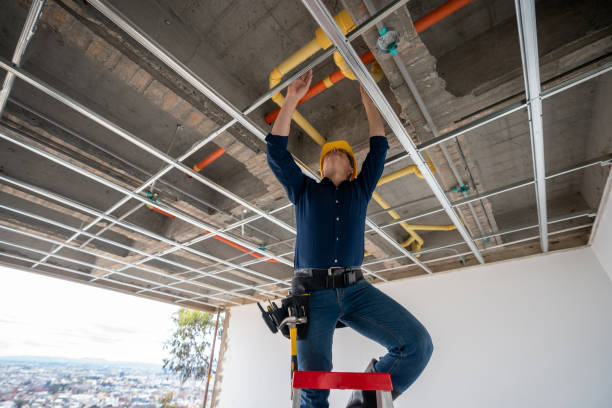Best Commercial Plumbing Services  in Parchment, MI